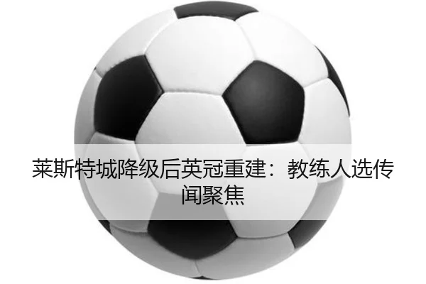 莱斯特城降级后英冠重建：教练人选传闻聚焦
