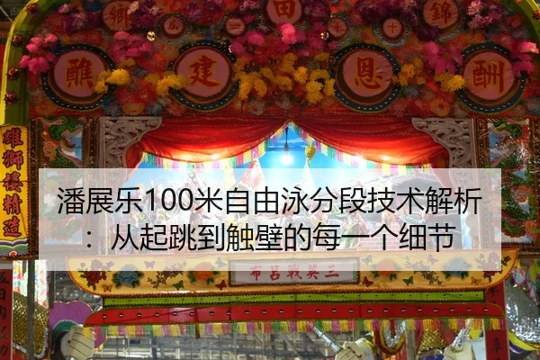 潘展乐100米自由泳分段技术解析：从起跳到触壁的每一个细节